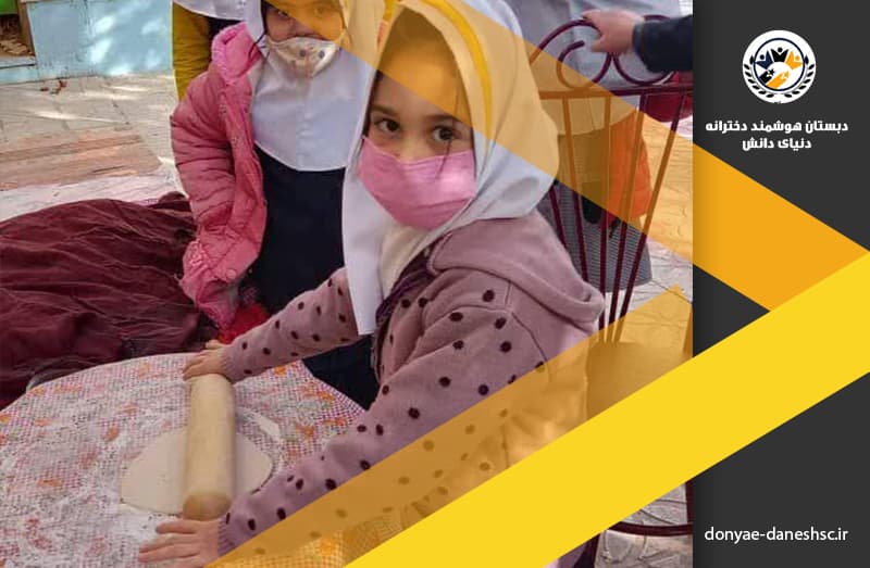 دبستان هوشمند دخترانه دنیای دانش